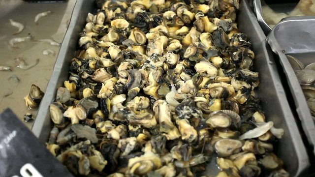 Fresh cockles and seashells for sale at a market in Thailand