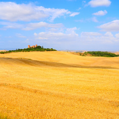 Fototapeta na wymiar Meadows Of Tuscany