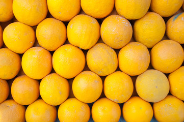 background of citrus