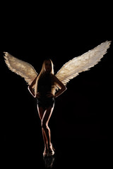 angel with wings on black background