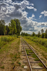Fototapeta na wymiar The railroad in the wood