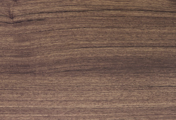pattern detail of teak wood texture