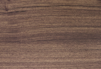 pattern detail of teak wood texture