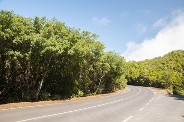 Fototapeta na wymiar Road to the lush forest of the Gomera