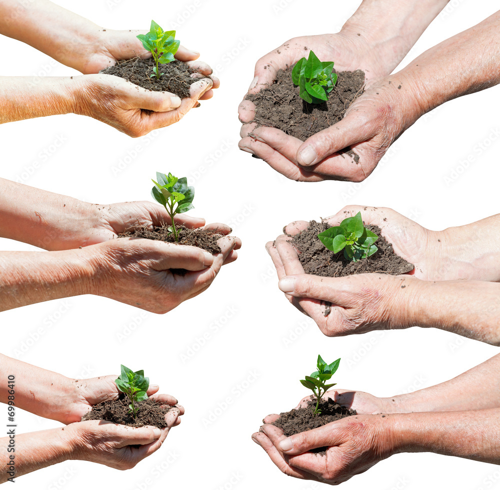 Sticker set of farmer hands with soil and green sprout