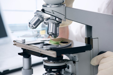 Working with a microscope