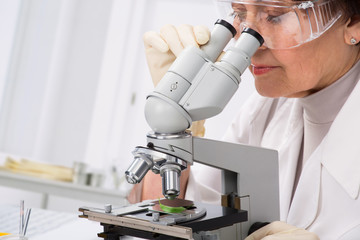 Biologist looking through a microscope