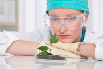 woman biologist at laboratory