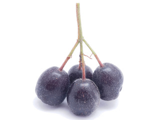 Aronia berries currants on a white background