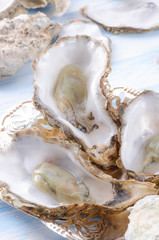 Naklejka premium oysters