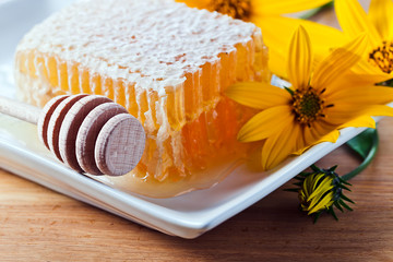 honeycomb and yellow flowers