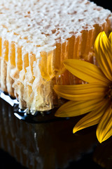 honeycomb  on black reflexive background