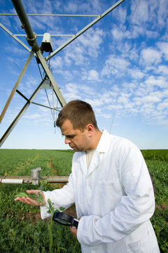 Agronomist in field