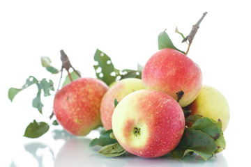 fresh apples
