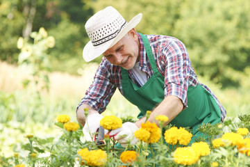 I'm proud from my garden