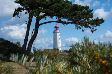 Leuchtturm Insel Hiddensee