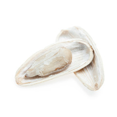 sunflower seeds on white background