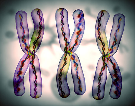 chromosome