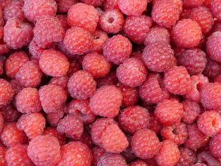 Himbeeren