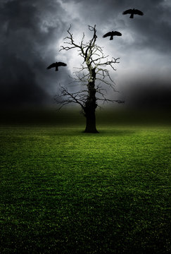 Kahler Baum mit Raben