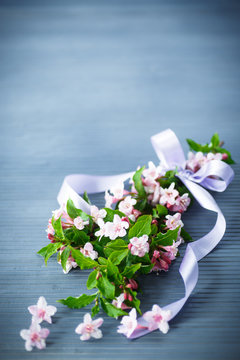 Weigel beautiful pink flowers