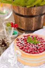 Cranberry Cake
