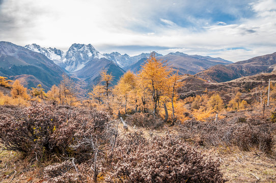 mountain autumn landscape in China