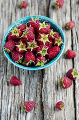 Fresh organic raspberries in a bowl