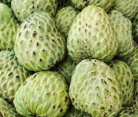 Custard apple, Sugar apples or Annona squamosa Linn