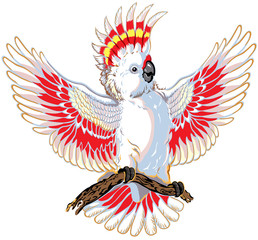 Obraz premium różowe kakadu