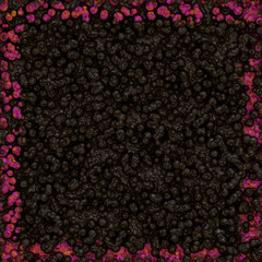 Symmetrical growth of bacteria