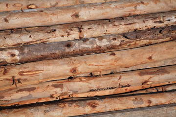 pile of wooden logs