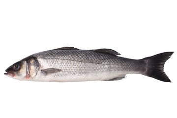 Fresh seabass