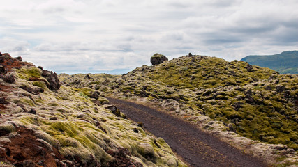 Champs de lave mer Islande