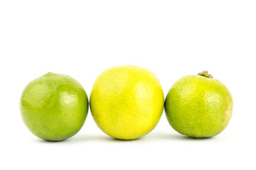 Lime