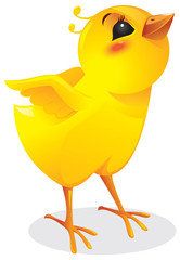 Surprised chicken