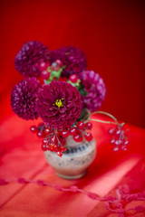 Dahlia flowers in vase