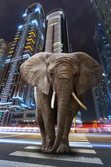 Zelfklevend Fotobehang Een grootstedelijke jungle met olifanten die op de weg lopen © Patryk Kosmider