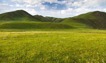 green savanna mountain in Tibet - Qinghai province, China