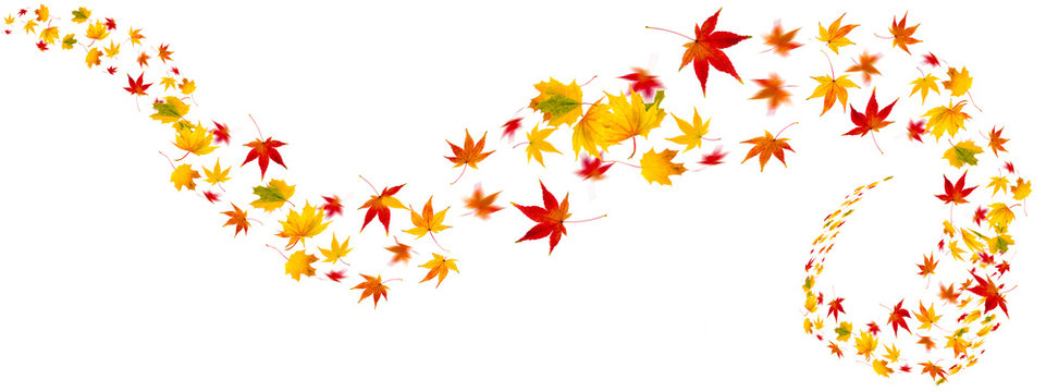 bunte Herbstblätter als Collage