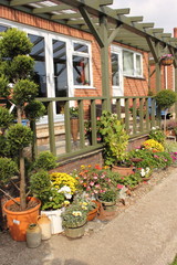 A colourful veranda on a bungalow with flowers and plants