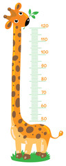 Fototapeta premium Giraffe meter wall