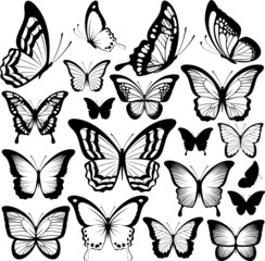 Fototapeta butterflies black silhouettes obraz