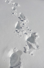 Footprints in snow on a bright winter day