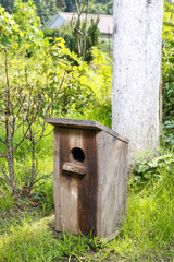 Bird house in the garden