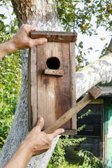 Bird house in the garden