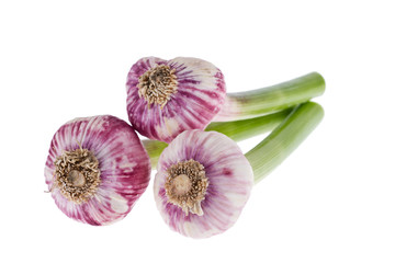 Fresh garlic isolated on white background