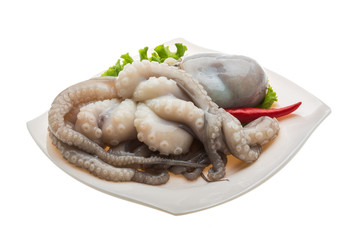 Raw octopus