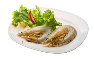 Tiger prawn