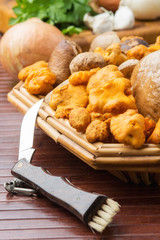 Funghi porcini e finferli in un cestino su un tavolo